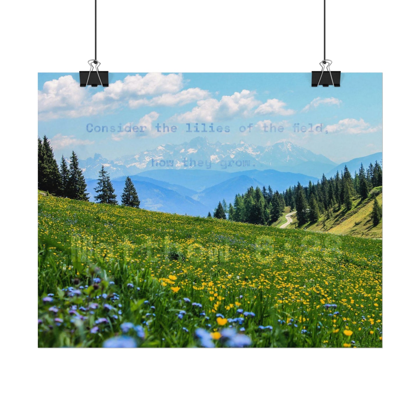 Matthew 6:28 [Textured Watercolor Matte Poster]