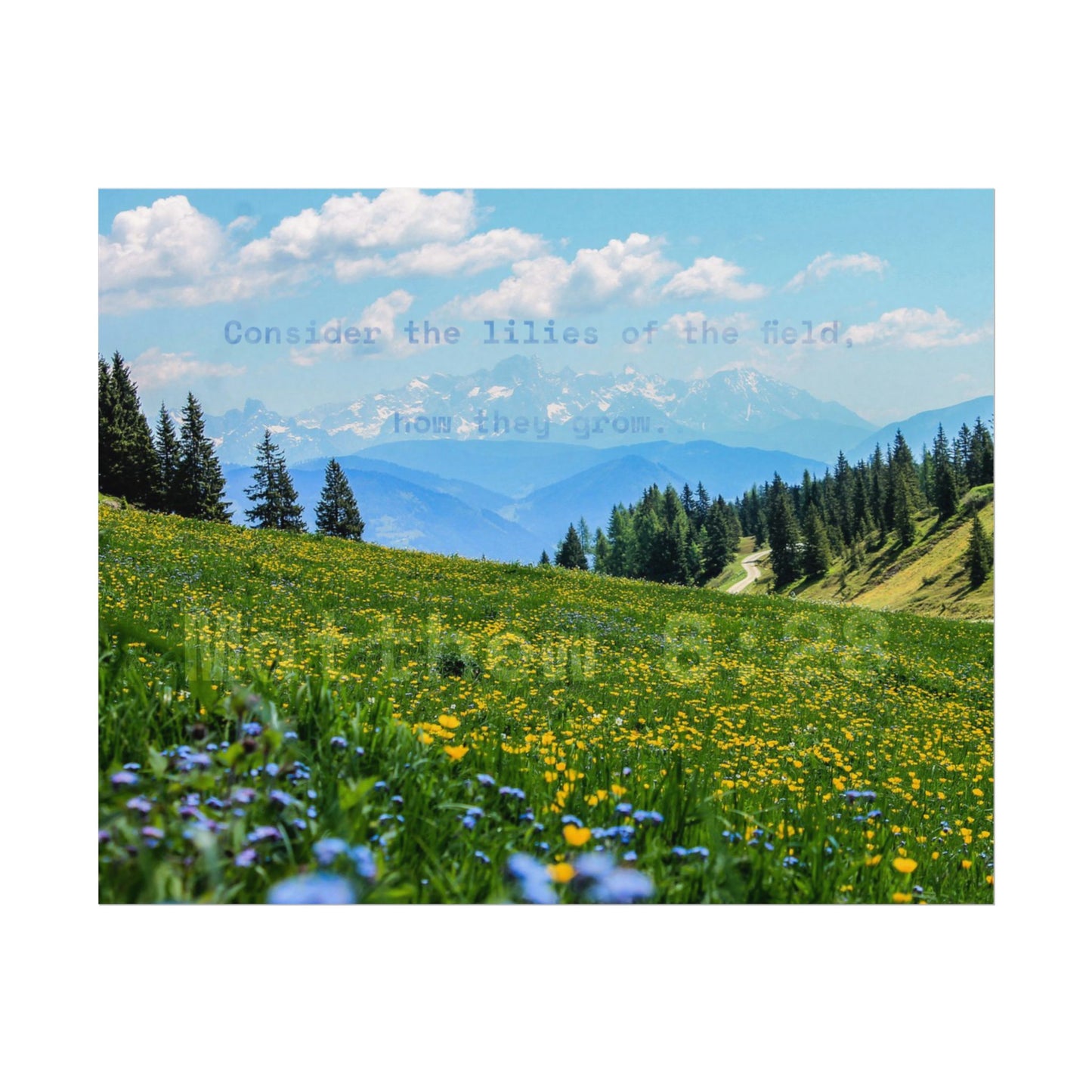 Matthew 6:28 [Textured Watercolor Matte Poster]